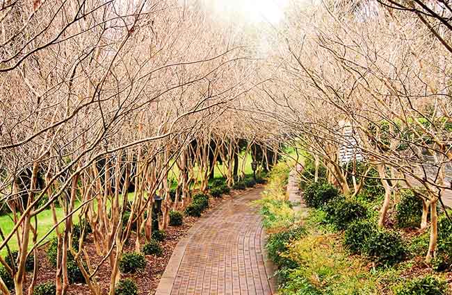 edited-pathway-freeimages1309303_650x425